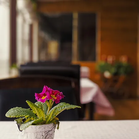 Graffiti Hotel Rooftop - Central Location Hotel