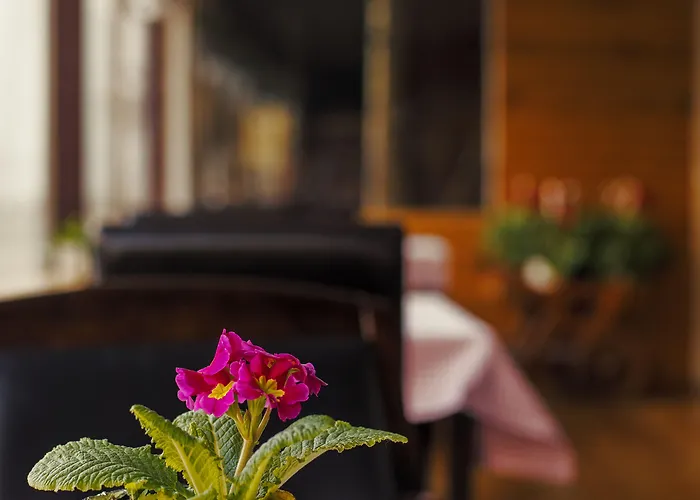 Graffiti Rooftop - Location Hotell